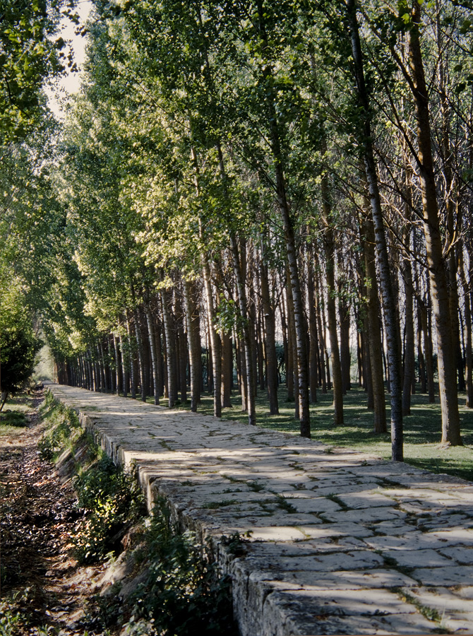 A veces el Camino utiliza antiguas calzadas romanas como esta que se encuentra frente al monasterio de San Zoilo en Carrion de los Condes