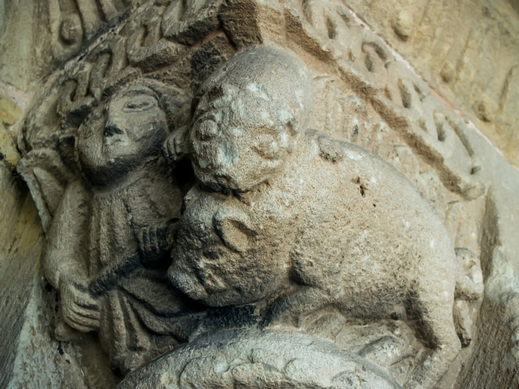 Cerdo en el capitel derecho de la portada sur de la iglesia de Santa Maria de la Oliva en Villaviciosa Asturias con un cerdo siendo atacado por un perro