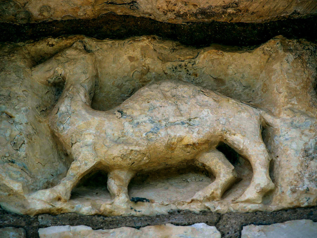 Camello en una de las metopas de la iglesia de Duraton Segovia