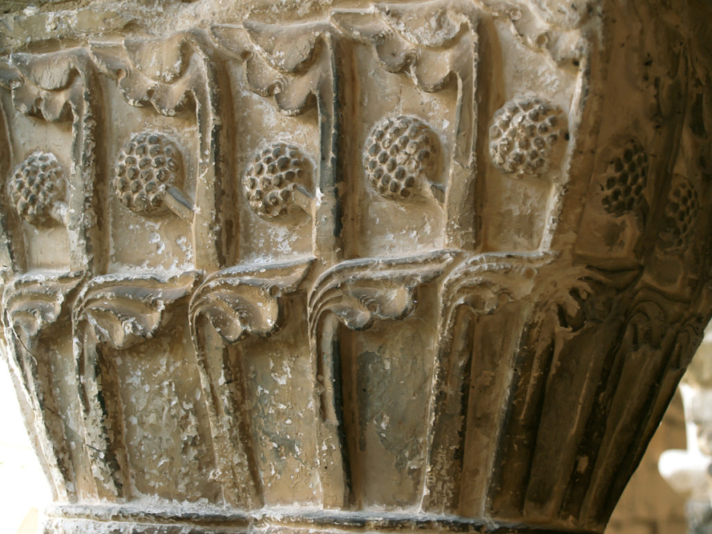 Frutos compuestos globosos del tipo de la mora en uno de los capiteles del claustro del Real Monasterio de Santo Domingo de Silos Burgos