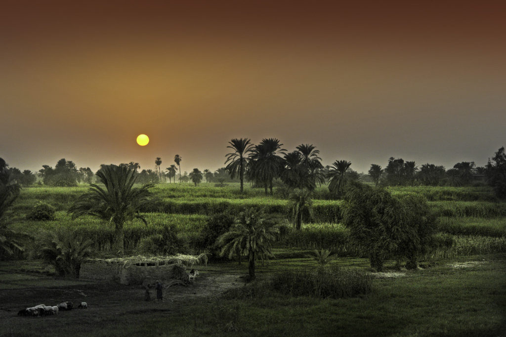 Las inundaciones del Nilo propiciaron una abundante agricultura a todo lo largo de sus orillas